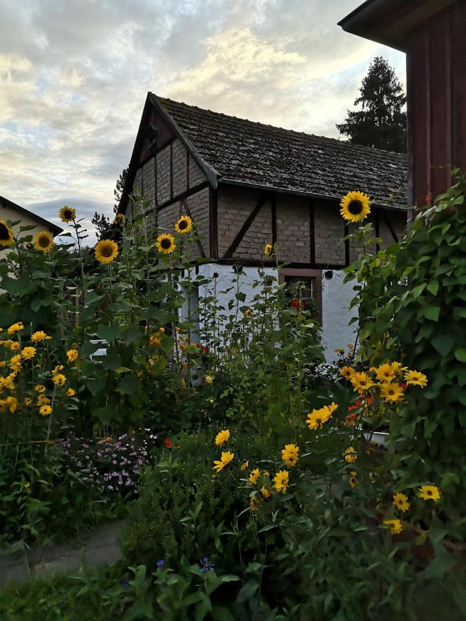 Schones Familienzimmer Walsdorf  Exterior foto