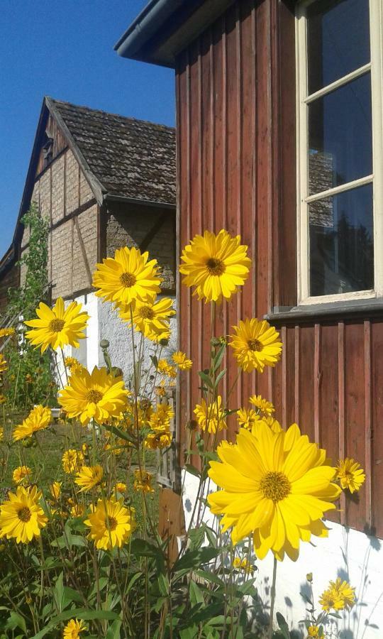 Schones Familienzimmer Walsdorf  Exterior foto